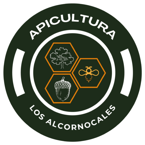 Apicultura Los Alcornocales